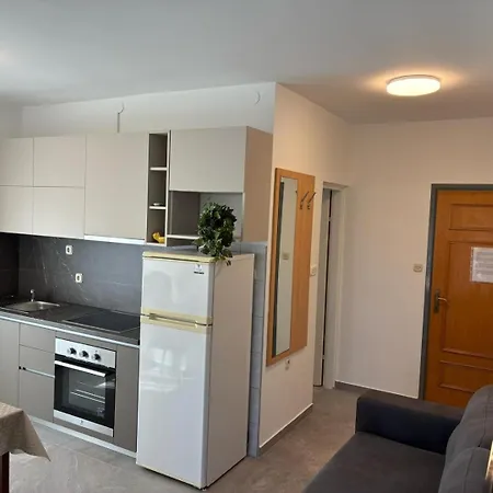 Zatonka Apartment *